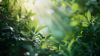 Sunlight filtering through vibrant green foliage, highlighting the intricacies of leaf patterns and textures,  background - obrazy, fototapety, plakaty