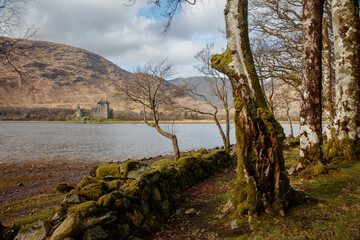 Fototapete bei efototapeten.de bestellen   