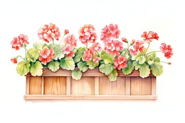 Rustic window box filled with geranium blooms, ideal for a kitchen or cottagestyle living area, adding charm and a touch of color to everyday spaces