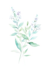 Fototapeta na wymiar Watercolor mint and sage bouquet, ideal for a spa bathroom or relaxation nook, evoking a sense of calm and natural wellness with soft, soothing colors