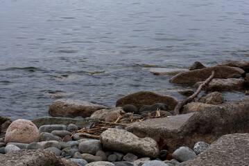 rocks and sticks by the the lake or ocean