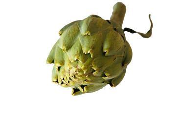  green artichoke on white and poured background