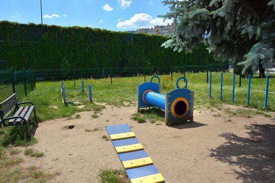 Playground for dogs in the city
