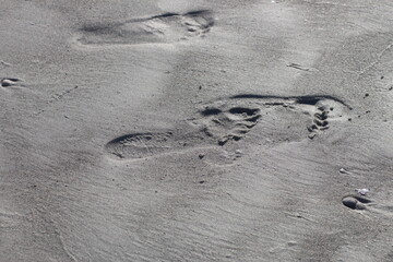 Fototapeta na wymiar Footprints in wet sand at the beach stock photo