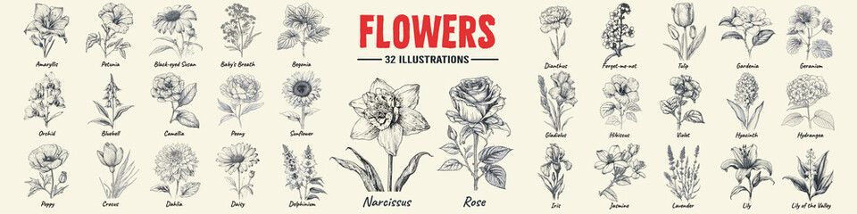 Flower set hand drawn vector illustration. Rose, Lily, Narcissus and violet engraved style, sketch...