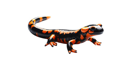 A small, orange and black lizard is laying on a white background