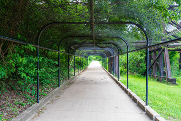 A covered walkway stretches into the distance, flanked by green foliage on one side and a structure...