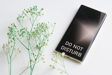 Mobile phone - smartphone with the inscription do not disturb and green dry flower on a white background. Concept of rest and solitude. Loneliness and depression. Photo - obrazy, fototapety, plakaty