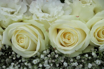 Group of white roses, wedding decorations - 791149395