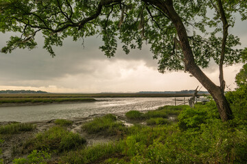 Fototapeta na wymiar Before the rain starts over the marsh