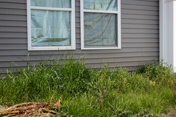 tall grass in backyard