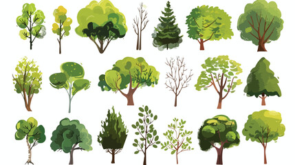 Collection of deciduous and evergreen forest plants