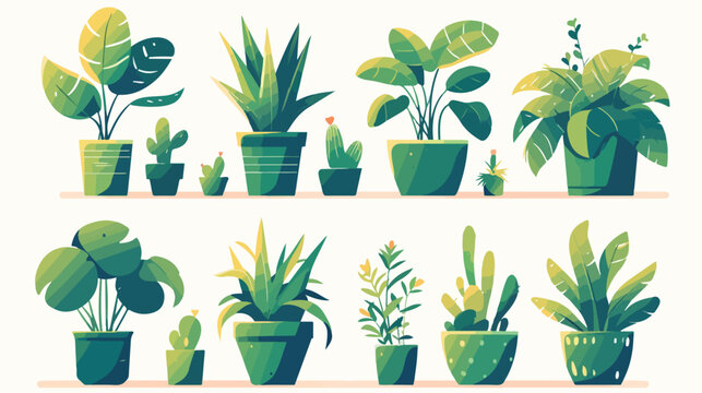 Collection of decorative houseplants isolated on wh