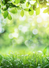 Springtime Eco-Chic: Green Leaves and Sunlight Poster Background