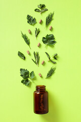 Medicine bottle with spilled pills and plant leaves on a green background. Concept of healthy lifestyle, taking vitamins, nutritional supplements, minerals