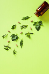 Herbal pills in capsules with amber glass medicine bottle and plant leaves on green background