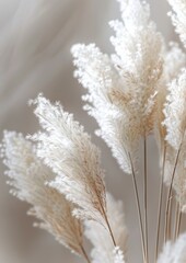 A Bunch of White Flowers in a Vase
