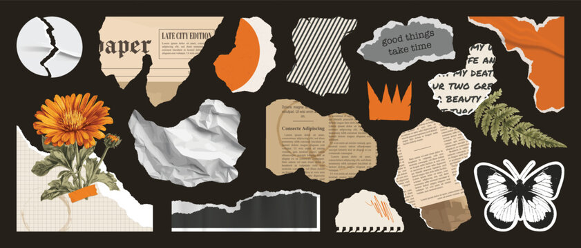 Set of paper cut elements, torn newspaper, collage plants, scrap notebook sheet, retro gazette, torn wrinkled sticker, stamp butterfly, quotes, crown. Trendy collage vector set, retro grunge stickers.