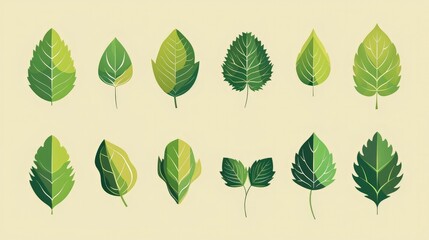 Minimalist Leaf Icons in Flat Gradients A Modern Take on Botanical Art