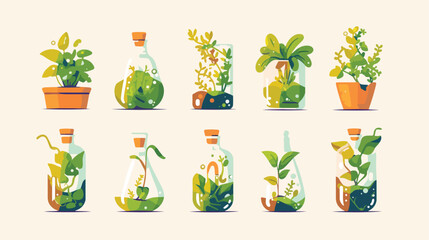 Collection of green plants growing in pots with min
