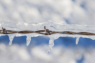 ice covered barbed wire