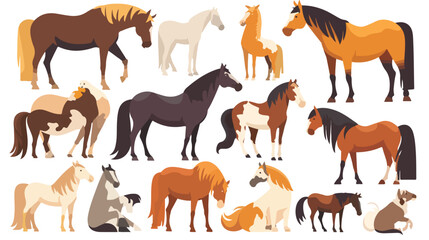 Collection of horses of various breeds isolated on