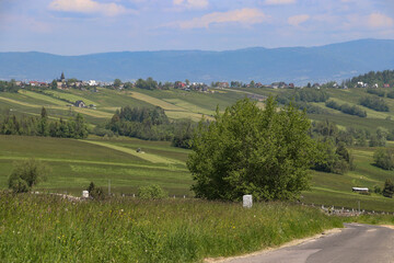 An asphalt road leading through the picturesque landscapes of the Polish mountains. A beautiful car...
