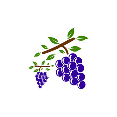 wine fruit logo vector template illustration design