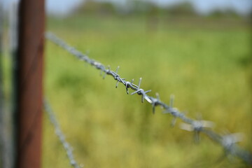 Barbed Wire