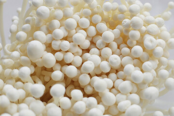 Fresh enoki mushrooms, vegetable for health