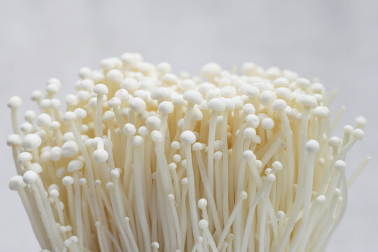 Fresh enoki mushrooms, vegetable for health
