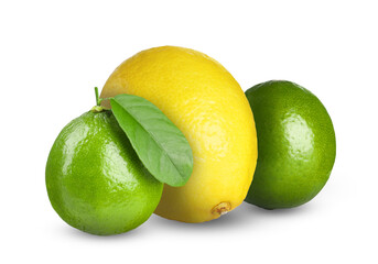 Fresh limes and lemon isolated on white