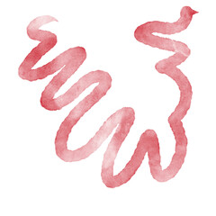 Squiggly Lines Abstract Watercolor