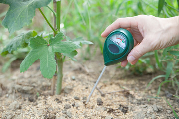 土壌酸度計で畑の酸度を計る
