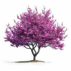 Obraz premium An illustration of a vibrant pink blossoming tree with detailed branches, isolated on a white background.