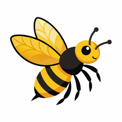 bee and honey Vector illustration