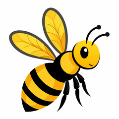 bee and honey Vector illustration