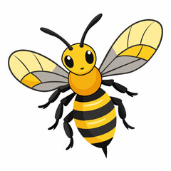 bee and honey Vector illustration