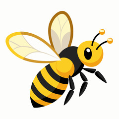 bee and honey Vector illustration