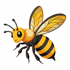 bee and honey Vector illustration