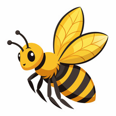 bee and honey Vector illustration