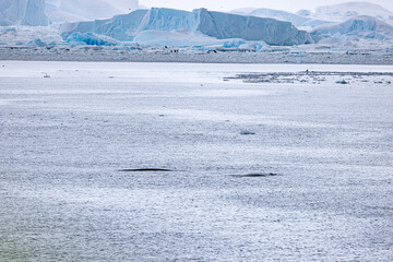 he Gullet Cracling Ice and Narrow Channel Antartica