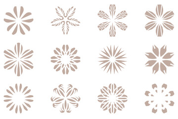 Botanical flower design set. Decorative floral vector
