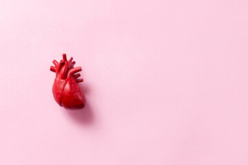 Anatomical model of the human heart on pastel pink background. Selective focus, place for text