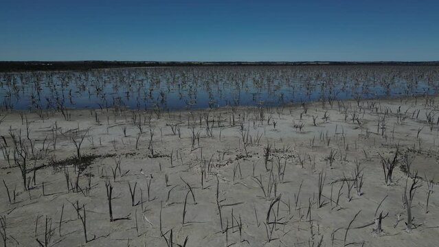 Dry trees in Taarbin Lake destroyed by rising salinity levels, Western Australia. Environmental degradation and ecology concept. Aerial forward at low altitude and sky for copy space