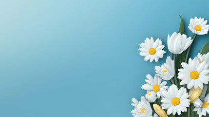 White daisy background banner border