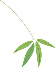 Fresh bamboo leaves with stem