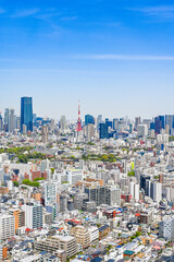 Naklejka premium 日本の首都東京