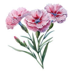 A painting of three pink flowers with green stems