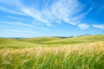 Fototapeta premium A peaceful countryside landscape with gently rolling hills and fields of golden wheat swaying in the breeze under a bright blue sky, Generative AI